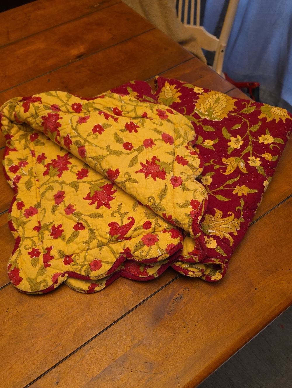 POTTERY BARN | SET OF 2 PILLOW SHAMS VANESSA / COLETTE PATTERN